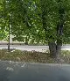 Dar-Ko. Usługi remontowo - budowlane. Kostuś D.